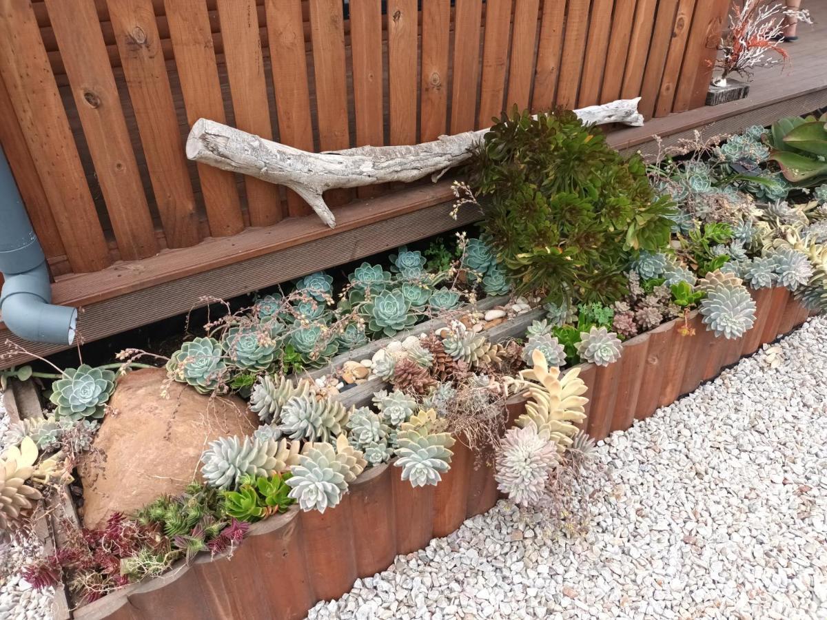 Chameleon Lodge Colchester Εξωτερικό φωτογραφία