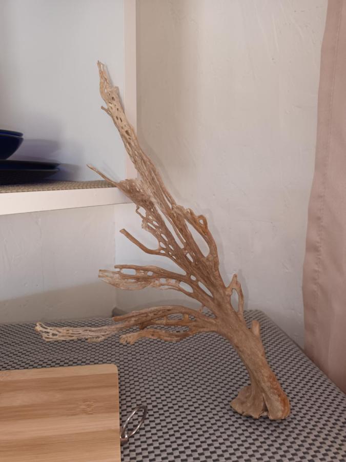 Chameleon Lodge Colchester Εξωτερικό φωτογραφία