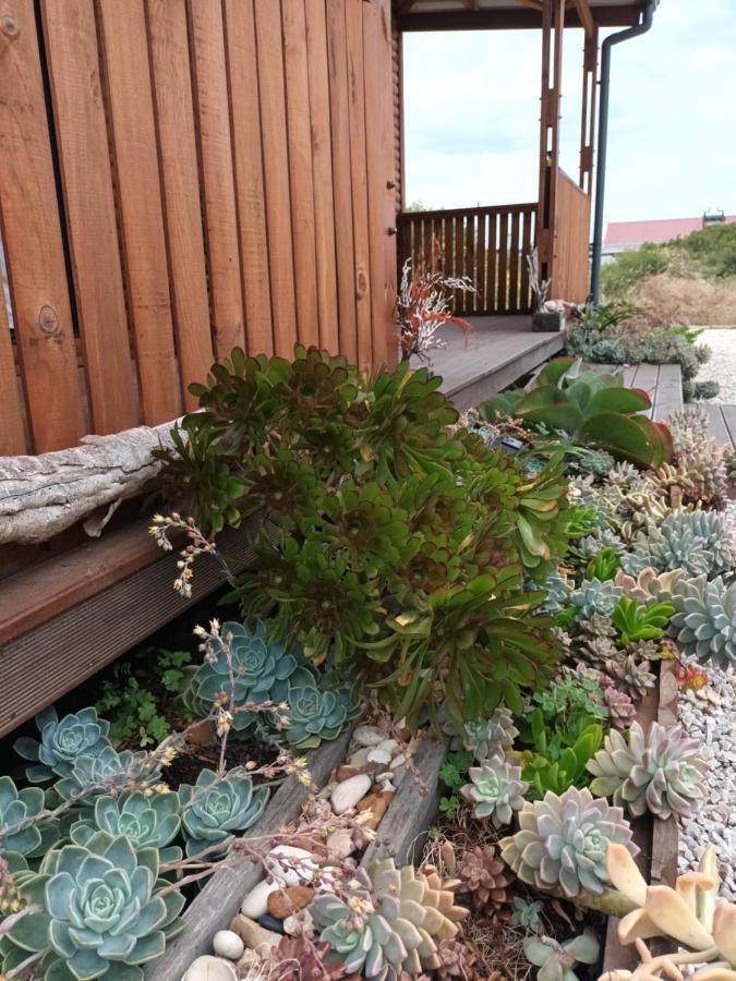 Chameleon Lodge Colchester Εξωτερικό φωτογραφία